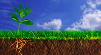 Grow Fresh Organics Soil